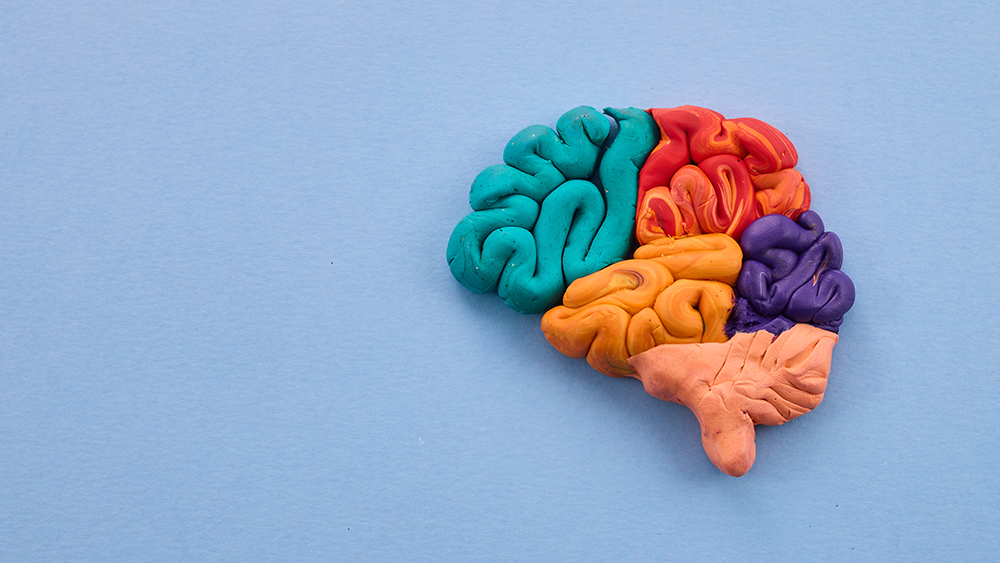 a brain made of play dough on a blue background